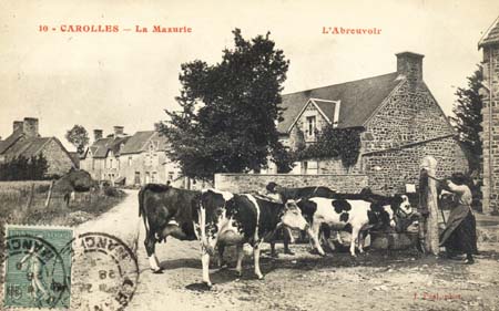 Sélectionnez (click gauche) la carte postale pour l'afficher en grand format